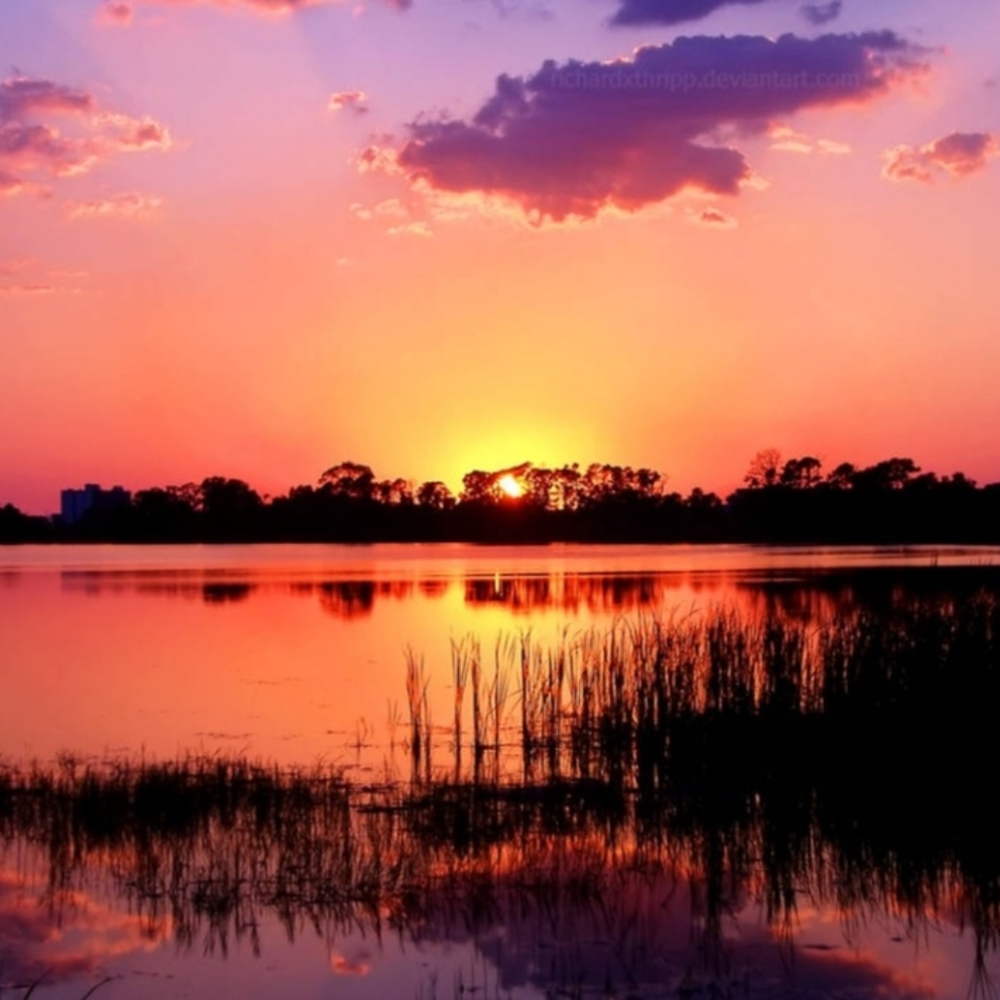 Meet your Posher, Lilly